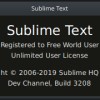 sublime text license